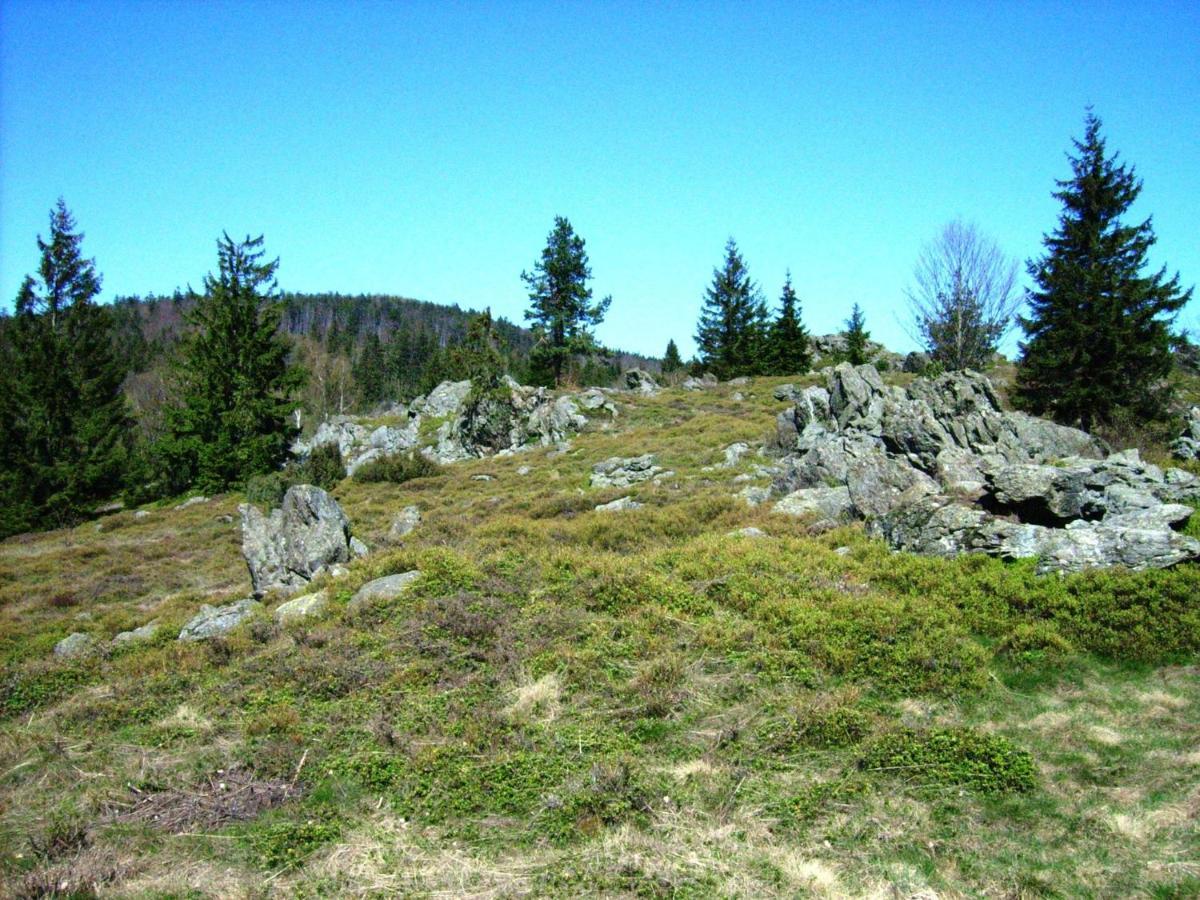 Holiday Home Near The Ski Slope Stadlern Екстериор снимка